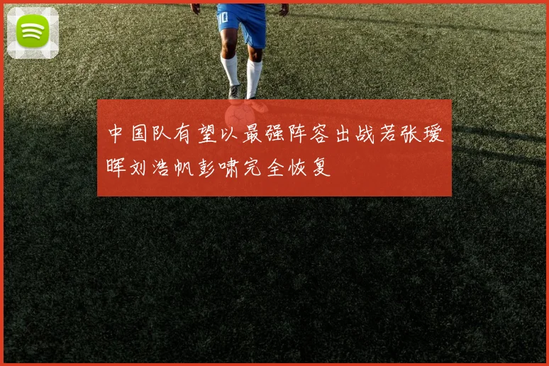 中国队有望以最强阵容出战若张瑷晖刘浩帆彭啸完全恢复