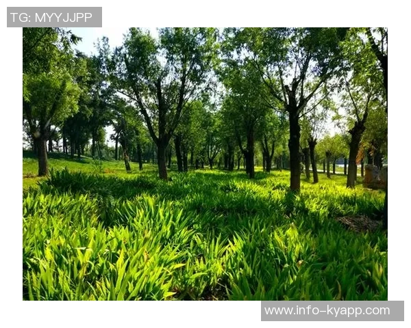 泰尔齐奇对加图索充满信心期待他打造强队的未来