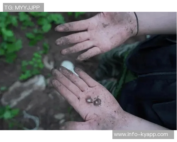 勒威林爆发背后揭秘：加练射门禁酒早睡不喝塑料瓶水的秘密